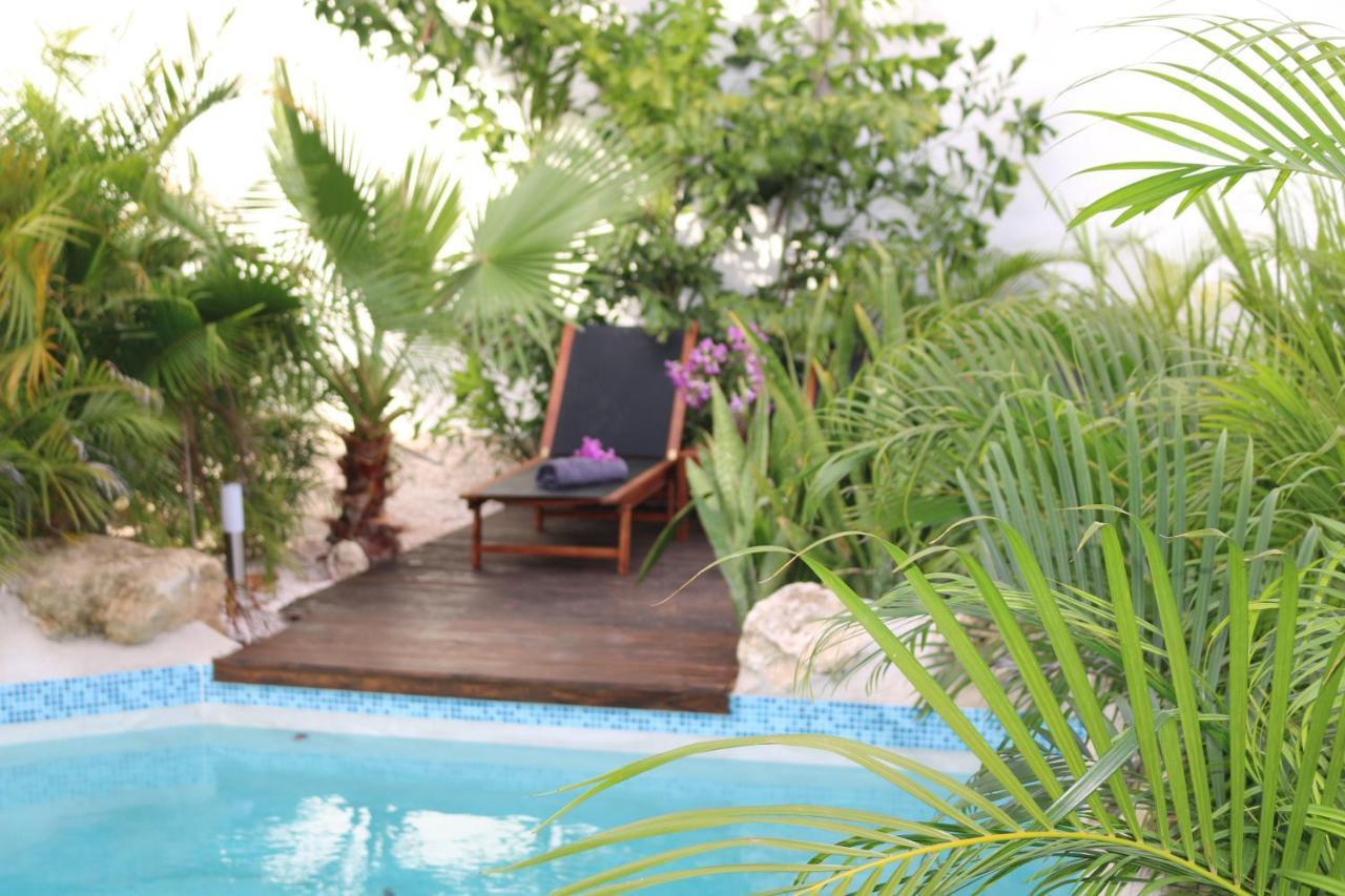 New House Tropic Paradise With Pool Willemstad Dış mekan fotoğraf
