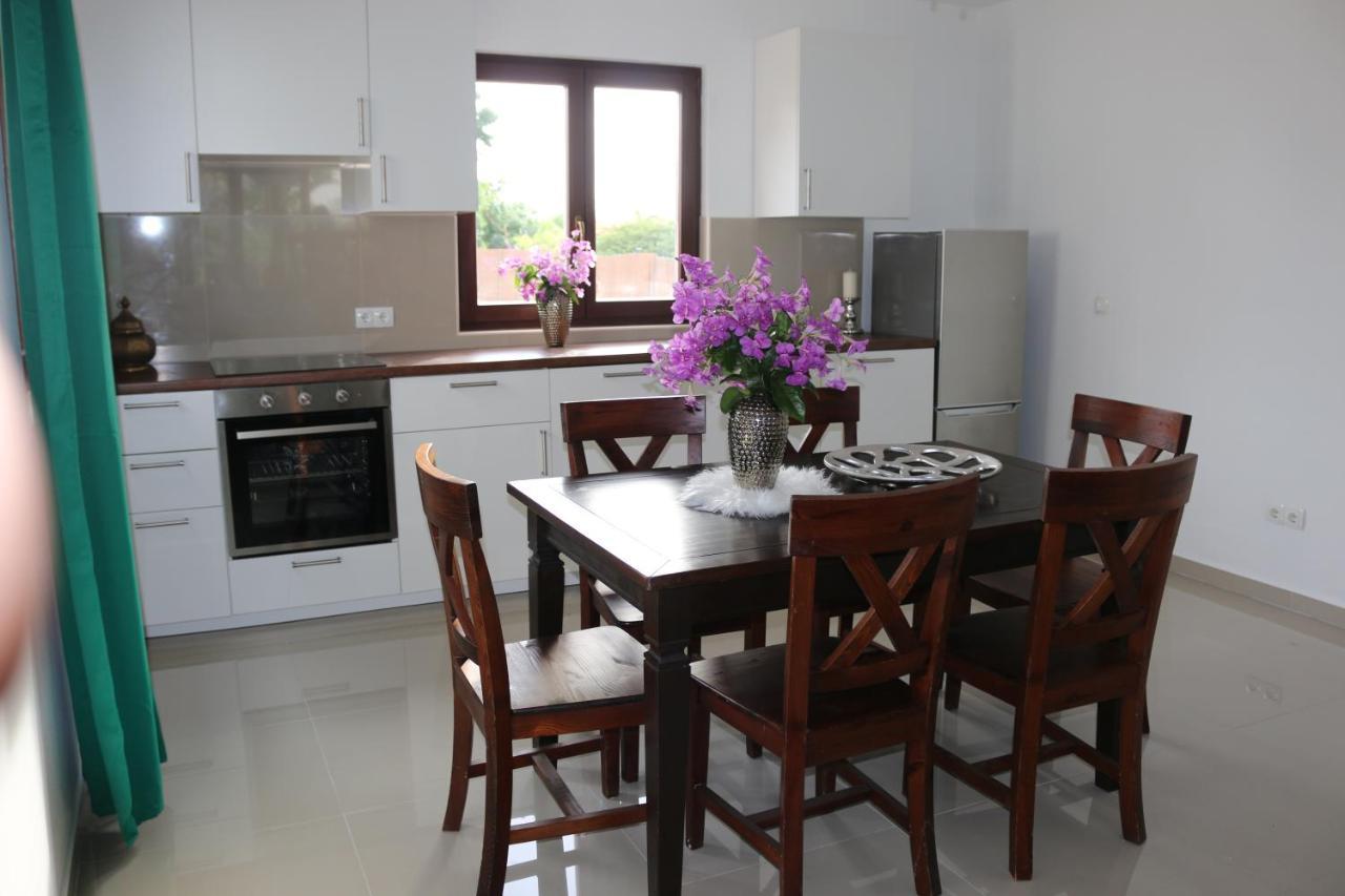New House Tropic Paradise With Pool Willemstad Dış mekan fotoğraf