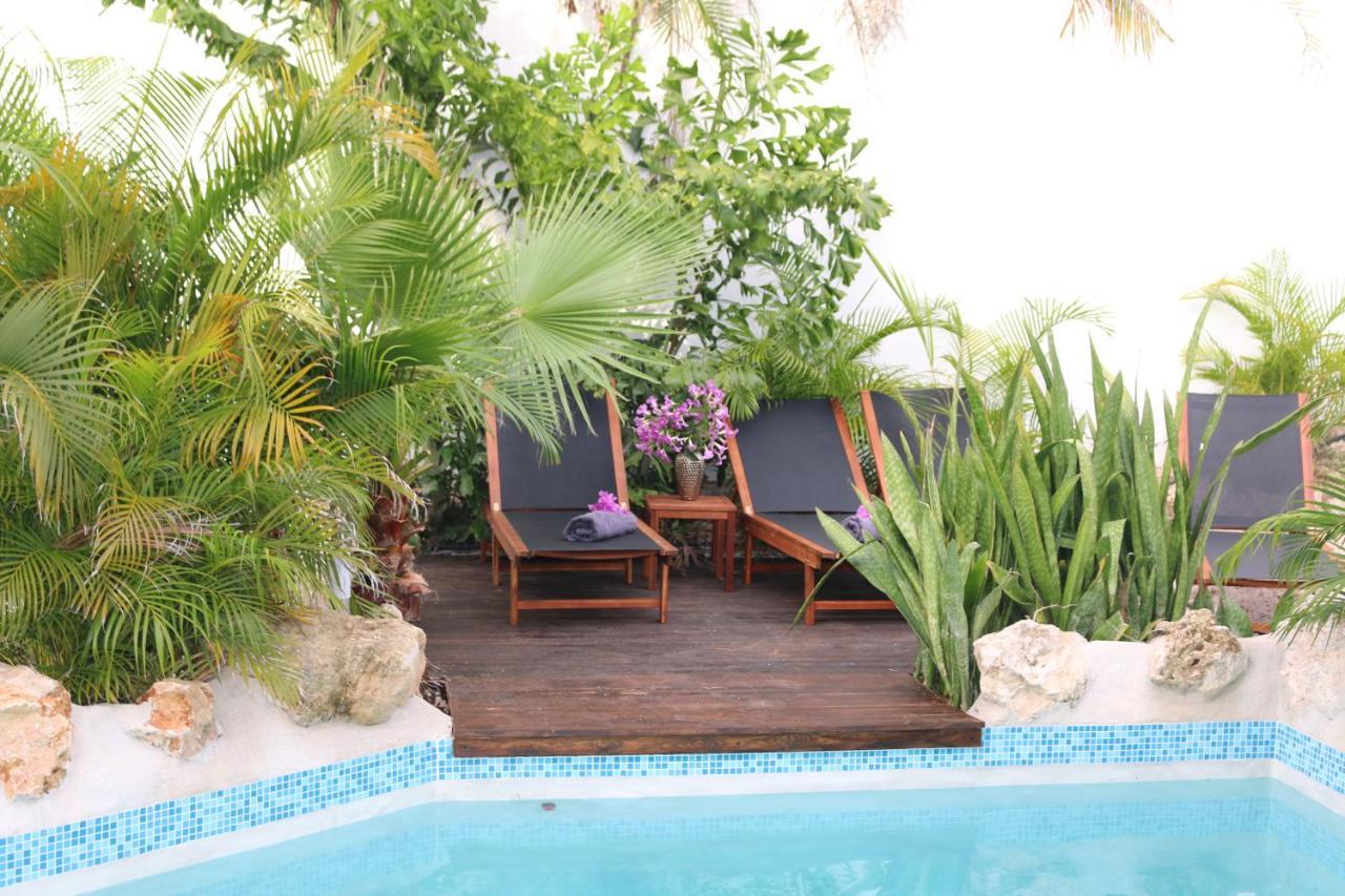 New House Tropic Paradise With Pool Willemstad Dış mekan fotoğraf