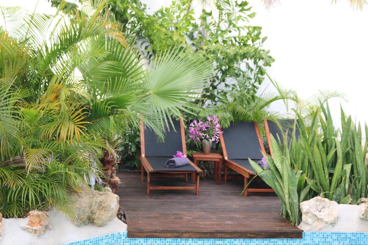 New House Tropic Paradise With Pool Willemstad Dış mekan fotoğraf