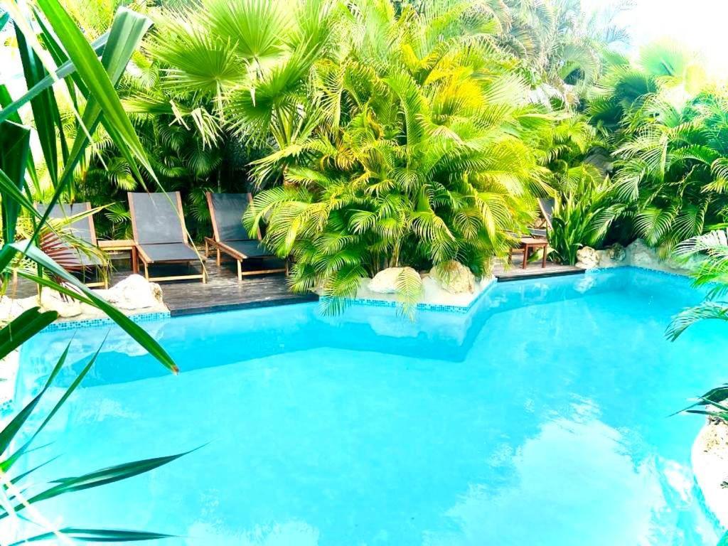 New House Tropic Paradise With Pool Willemstad Dış mekan fotoğraf